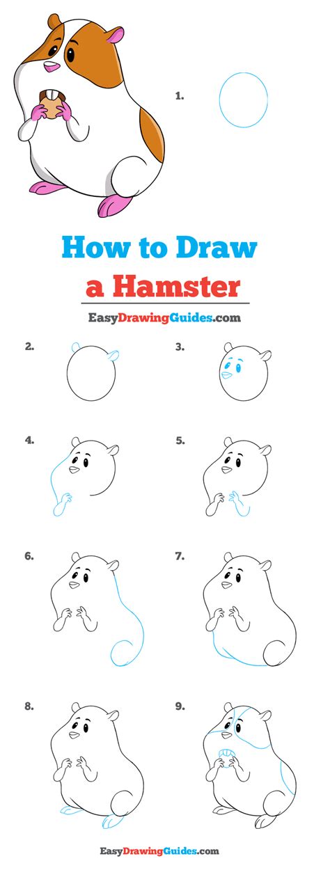 How To Draw A Hamster Really Easy Drawing Tutorial