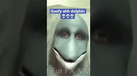 Goofy Ahh Dolphin 💀💀💀 Goofyahh Youtube