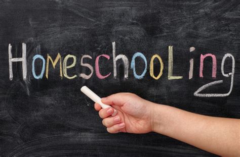 How Does Homeschooling Work Alpha Mom