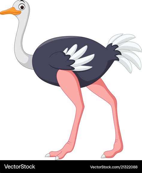 Cartoon Ostrich Posing Royalty Free Vector Image