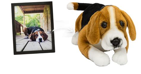 Custom stuffed animals of your pet you've been looking for! Petsies Custom Stuffed Animals of Pets | Budsies