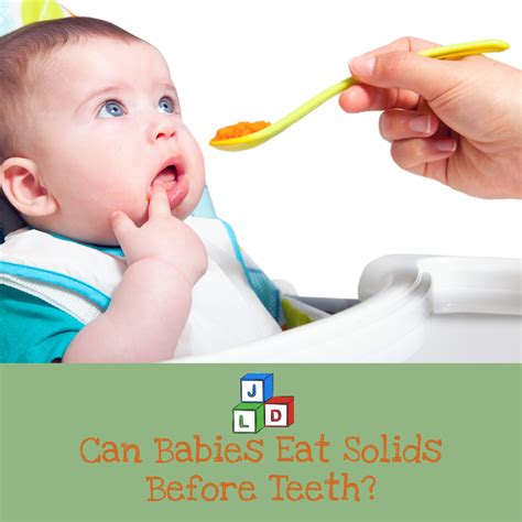 Can Babies Eat Solids Before Teeth Jld Therapy