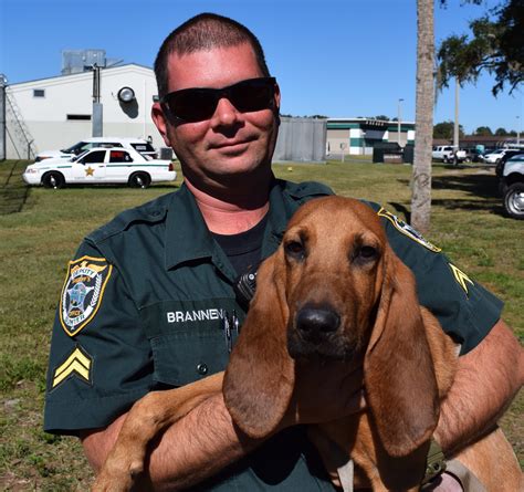 Sumter County Sheriffs Office Seeks Help In Naming New Bloodhound