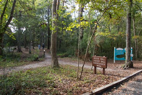 Myrtle Beach State Park Campground Outdoor Project