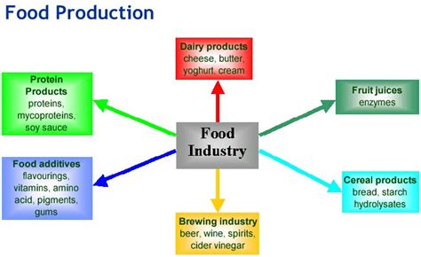 Biotechnology Food Production