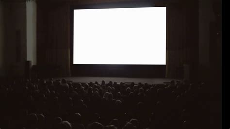 Back View Of Audience In Dark Cinema Hall In Stock Footage Sbv