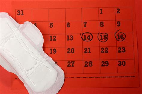 Sex During Periods Can Cause Pregnancy Can Period Sex Be More