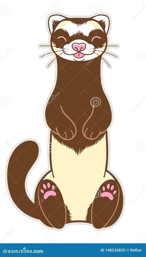 Set Of Ferret Sitting Poses Cartoon Vector 69610865