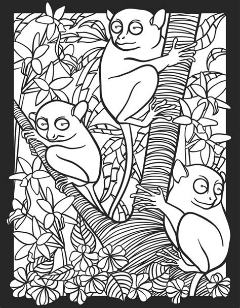 Childhood Education Nocturnal Animals Coloring Pages Free Colouring