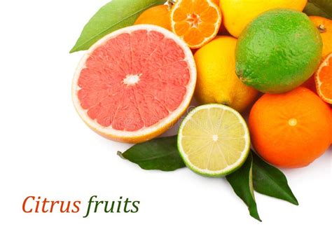Set Of Citrus Fruits Stock Image Image Of Healthy White 29929315