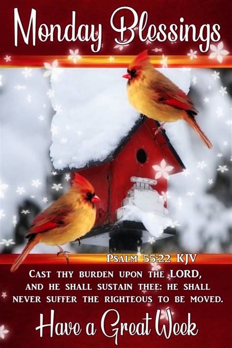 Winter Cardinal Monday Blessing Quote Pictures Photos And Images For