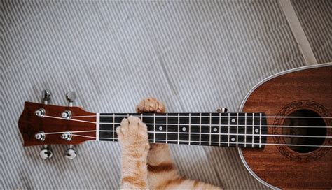 Jak grać na ukulele z nut Kurs gry na ukulele