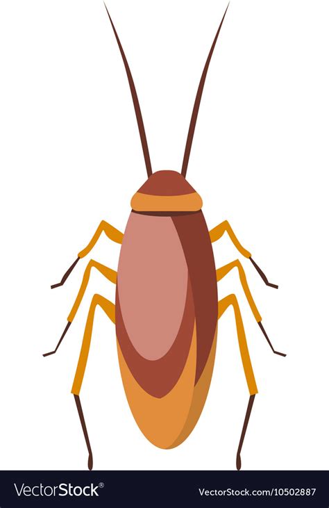 Cockroach Bug Cartoon Flat Royalty Free Vector Image