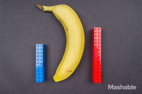 How Big Is The Average Penis Lets Compare With Household Objects