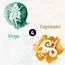 Virgo And Capricorn Compatibility 