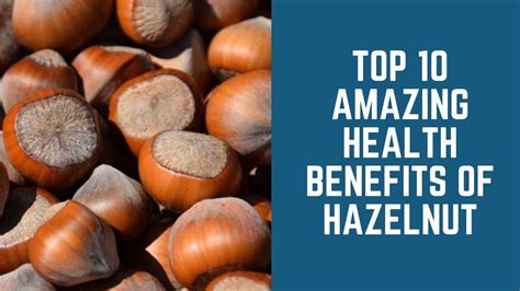 Top Health Benefits And Nutrition Of Hazelnut Youtube