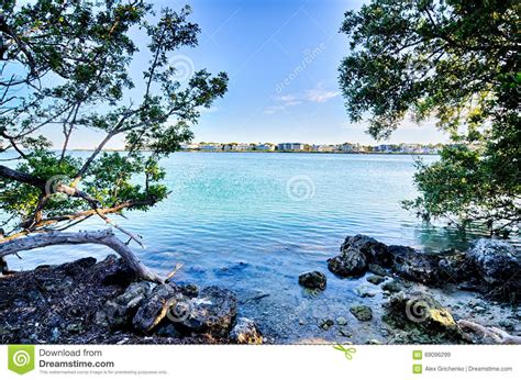 Beautiful Beach And Ocean Scenes In Florida Keys Stock