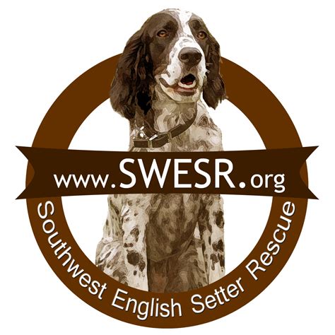 Southwest English Setter Rescue Inc Guidestar Profile