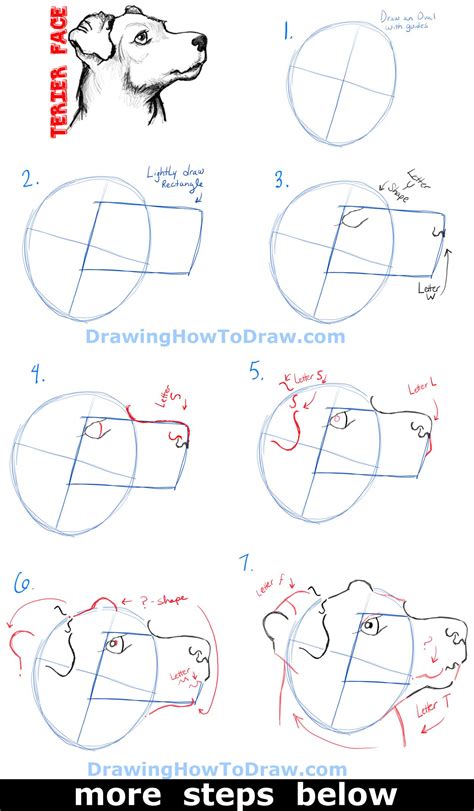 How To Draw A Realistic Dog Easy Step By Step How To Draw A Realistic