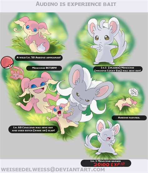 Audino The Experience Bait 811 By Weisseedelweiss On Deviantart