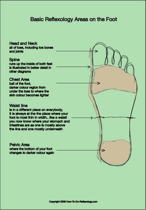 Reflexology Foot Map Diagrams And Charts Including Step By Step Instructions Reflexology Foot