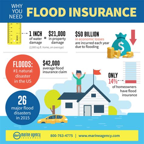 Why You Need Flood Insurance Infographic Marine Agency