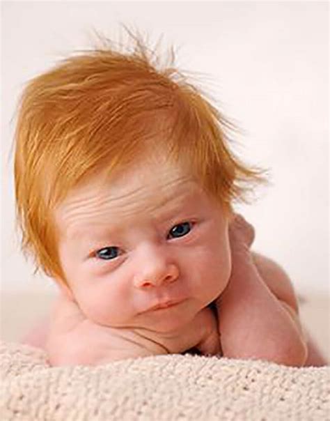 Baby Hair Color Predictor