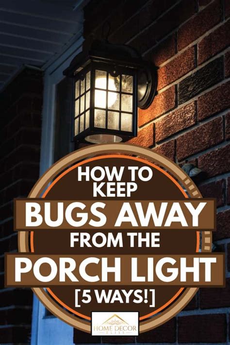 Are you searching for a homemade cat repellent solution? How To Keep Bugs Away From The Porch Light [5 Ways ...