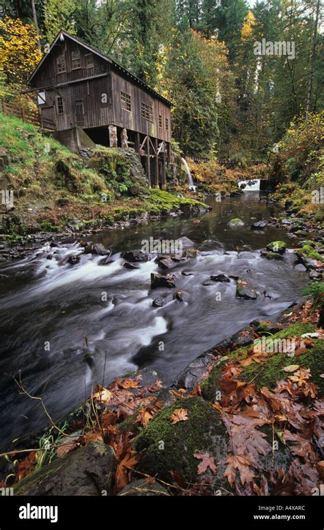 Ceder Forest Hi Res Stock Photography And Images Alamy