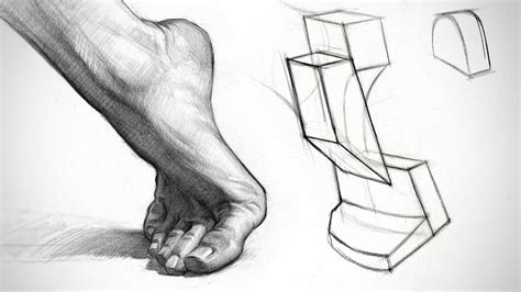 Proko Constructing And Shading The Foot Anatomy Assignment