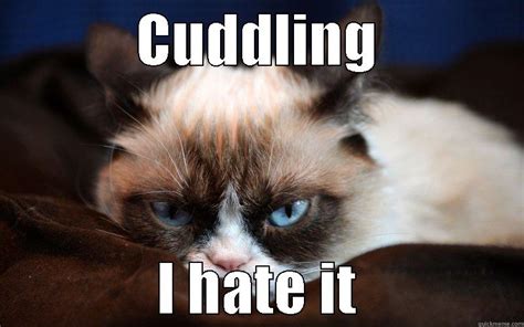 Grumpy Cat Hates Cuddling Quickmeme