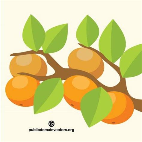 Royalty Free Orange Tree Clip Art Vector Images