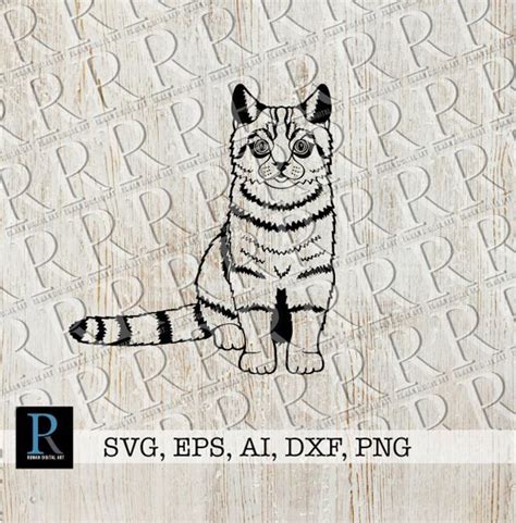 Cat SVG File Cat Cricut Design Single Layered - Etsy UK | Cricut