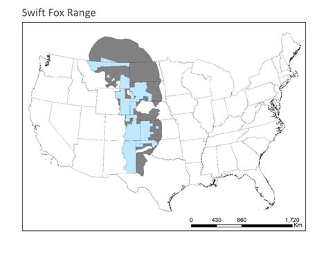 Working Toward Swift Fox Reintroduction Smithsonians National Zoo