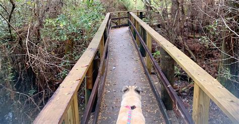 Dog Friendly Hiking Trails In Pensacola Outdoor Gulf Coast Of