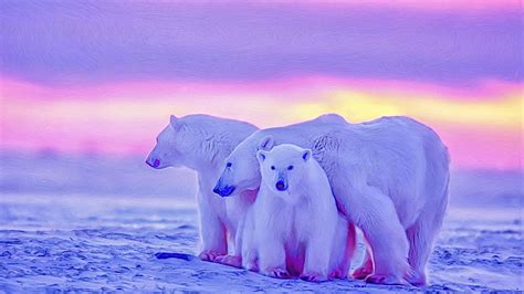 Polar Bears Backiee