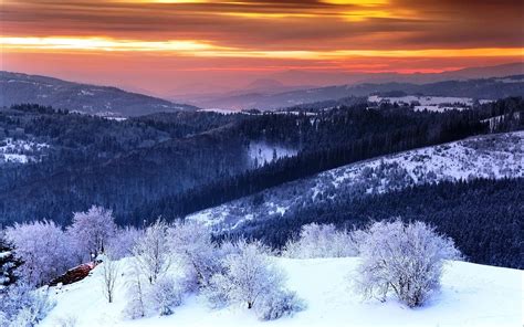 X Winter Sunrise Valley Snow Mountain Nature Landscape Sky Clouds Trees Mist Shrubs