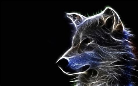 Wolf K Wallpaper Kolpaper Awesome Free Hd Wallpapers Images