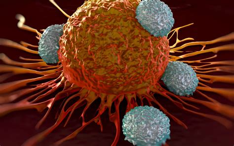 Limmunothérapie Un Nouveau Traitement Contre Le Cancer
