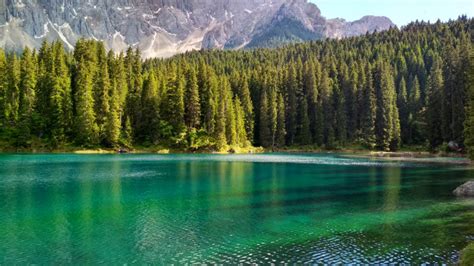Premium Photo Lago Di Carezza Karersee A Beautiful Lake In The