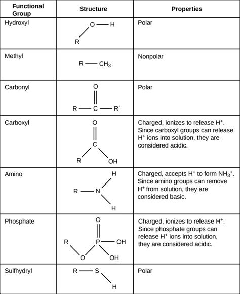 Carbon Organic Molecules And Functional Groups Biology Libretexts