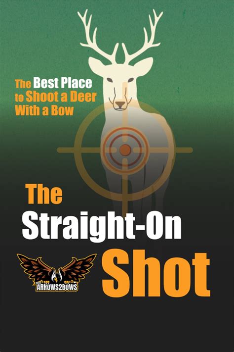 The Best Place To Shoot A Deer With A Bow Arrows 2 Bows