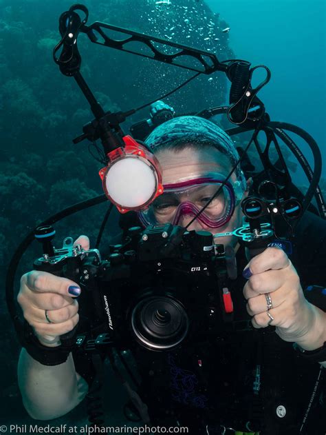 A Guide To Buying Used Underwater Photography Equipment — Alphamarine