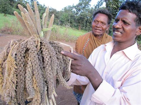 Understanding Tribal Agriculture Vikalp Sangam