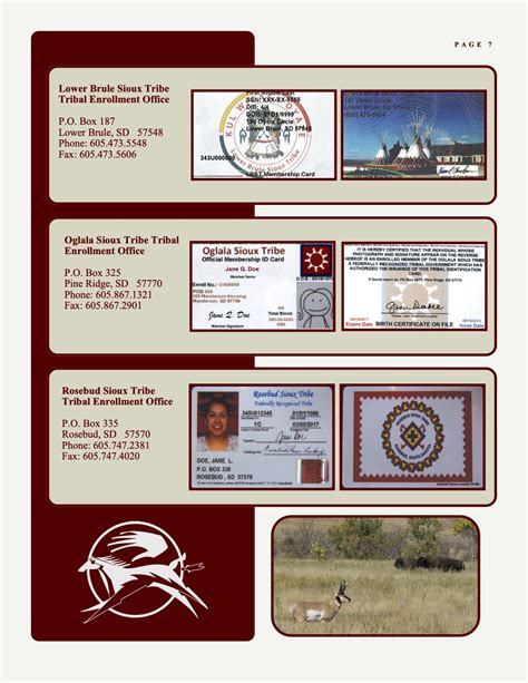 Tribal Id Card : Tribal Id Cards As Identification Washington State