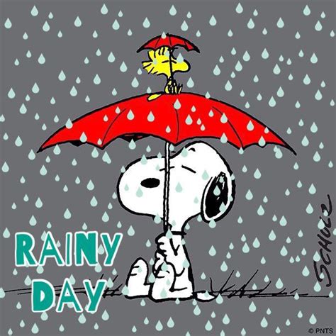 Rainy Day Blues Under A Red Umbrella Charlie Brown Cartoons