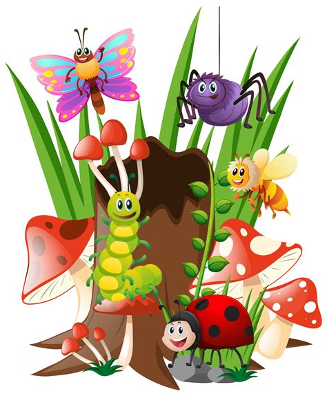 Many Insects In Garden 370131 Vector Art At Vecteezy