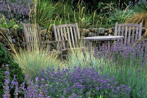 Ornamental Grasses Capture Attention With Easy Beauty Easy Care