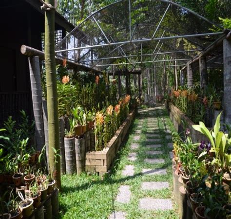 taman orkid lembaga kemajuan terengganu tengah