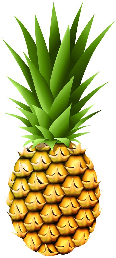 clip art pineapple 20 free Cliparts | Download images on Clipground 2021